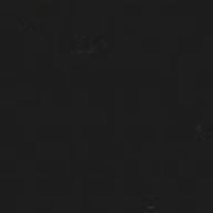 Meet your Posher, Kiley